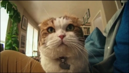 Shark Tank - Season 13 Episode 14